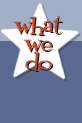 What We Do