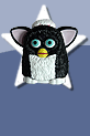 Find Furby